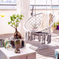 Milani Home - Poltrona sedia sospesa in tessuto per esterno giardino precio