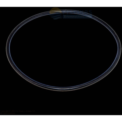 O-RING per coperchio Filtro Millenium