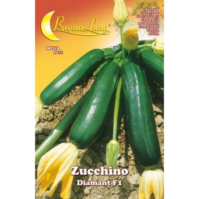 Hortus Sementi - SEMI ORTO ZUCCHINO DIAMANT