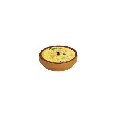 Orvital Spa-chimico - Maxi vaso con fiaccola alla citronella