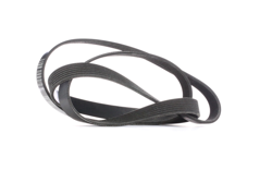 RIDEX Cinghia Poly-V 305P0203  RENAULT,NISSAN,OPEL,MASTER II Kasten (FD),MASTER II Pritsche/Fahrgestell (ED/HD/UD),MASTER II Bus (JD) en oferta