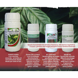 Kit Magnifiche Piante Verdi características