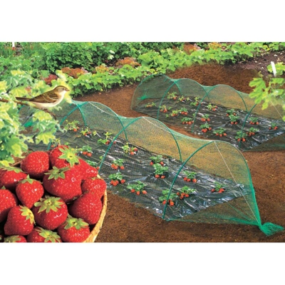 Anti-Birds 2X10M Green Intermas