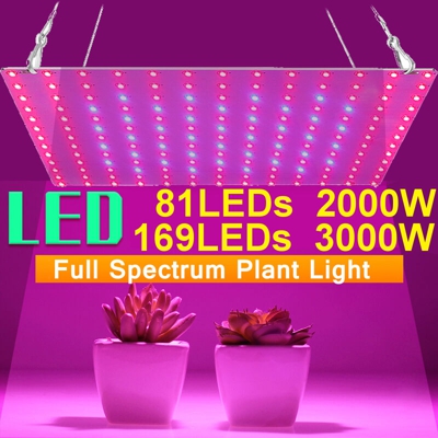 Drillpro - Lampada a fiore vegetale a spettro completo 169LED per coltura idroponica interna (Tipo 1 (81LED - Spina UE))