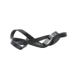 RIDEX Cinghia Poly-V 305P0132  ALFA ROMEO,OPEL,FORD,147 (937),156 (932),156 Sportwagon (932),GTV (916C_),166 (936),SPIDER (916S_),145 (930),146 (930) características