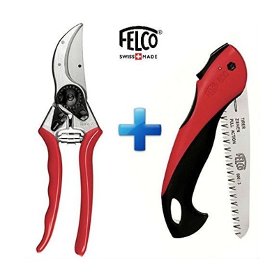 2 + Seghetto 600 Offerta - Felco