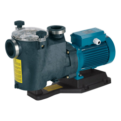 Calpeda pompa da piscina MPCM 11 con prefiltro Monofase 0,37kW resistente alla corrosione per la filtrazione dell'acqua di alta qualità precio