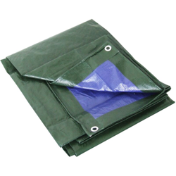 Telone Pvc Rinforzato Con Occhioli 6X10 - Prestige características