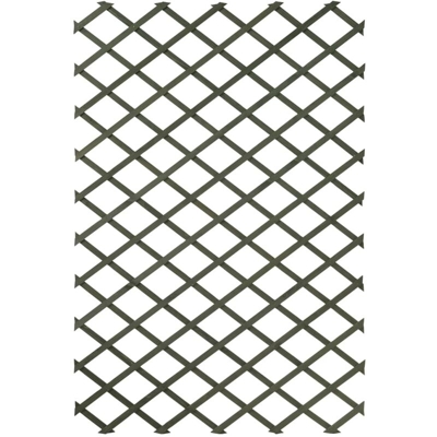 Pergolato da Giardino 100x200 cm in Legno Verde 6041704 - Verde - Nature