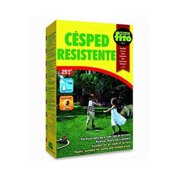 Semi di erba resistenti 1 Kg en oferta