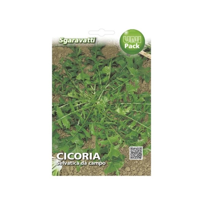 Busta Semi Orto Cicoria Selvatica da Campo - Sgaravatti