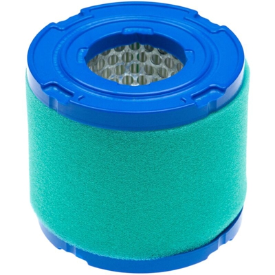 vhbw set di filtri (1x filtro di carta, 1x filtro in spugna) compatibile con Briggs & Stratton 190400, 195400 motore per trattorino tagliaerba