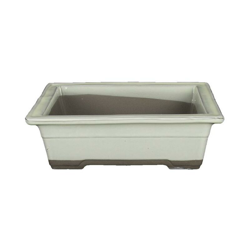 Vaso per bonsai Giapponese Morrisan rettangolare in gres smaltato bianco 17,5x12x6 cm - B05-19a precio
