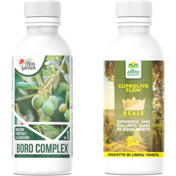 Boro complex etanolammina liquido x 250 gr precio