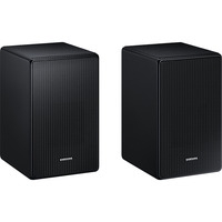 SWA-9500S/EN, Altoparlante