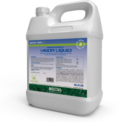 VIGOR LIQUID / 5 Kg - Bottos precio