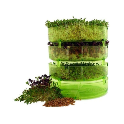 Germogliatore Germinatore Casa Per Semi Erbe Aromatiche E Germogli Con 4 Piani