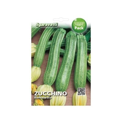Busta Semi Orto Zucchino Romanesco - Sgaravatti