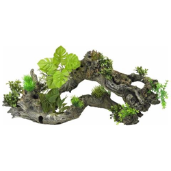 Piante Decorative 8 Taglia Xxxl 72x17x32 Cm 234/432129 en oferta