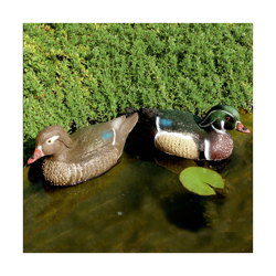 Decorazioni animali anatra sposa características