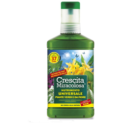 CONCIME CRESCITA MIRACOLOSA 750ML C030001 - Blumen en oferta