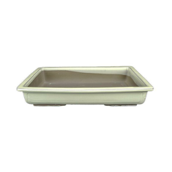 Vaso per bonsai Giapponese Morrisan rettangolare in gres smaltato bianco 22,5x15x4,5 cm - B19-31c en oferta
