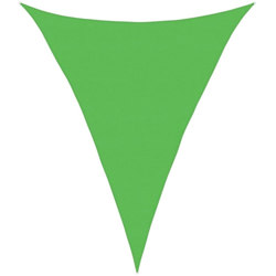 vidaXL Vela Parasole 160 g/m² Verde Chiaro 5x6x6 m in HDPE - Verde características