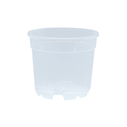 Vaso trasparente per orchidee 15x13,5 cm (n.1 pezzo), ditta Arca en oferta
