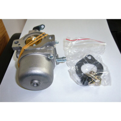 Carburatore Commerciale Motore Trattorino Briggs&Stratton 799728 en oferta