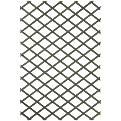 Pergolati da Giardino 2 pz in Legno Verde 50x150 cm - Verde - Nature