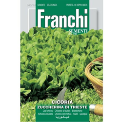 Semi ortofrutta "Cicoria zuccherina di Trieste" 3 pz. en oferta