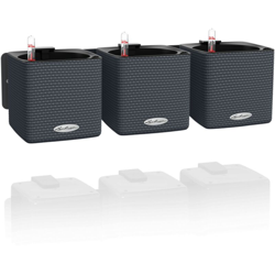 Fioriere 3 pz Green Wall Home Kit Ardesia - Grigio - Lechuza características