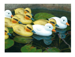 Decorazioni animali anatroccoli bianchi precio