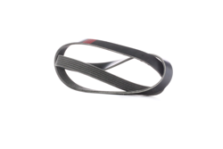 RIDEX Cinghia Poly-V 305P0242  RENAULT,DACIA,HONDA,19 I (B/C53_),11 (B/C37_),19 II (B/C53_),9 Limousine (L42_),19 I Chamade (L53_) características