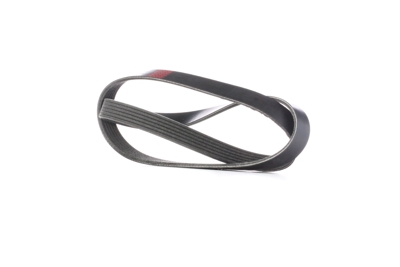 RIDEX Cinghia Poly-V 305P0242  RENAULT,DACIA,HONDA,19 I (B/C53_),11 (B/C37_),19 II (B/C53_),9 Limousine (L42_),19 I Chamade (L53_)