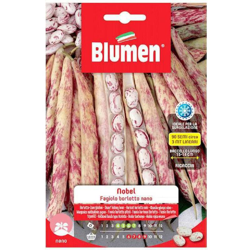 Blumen Fagioli Nani Nobel precio