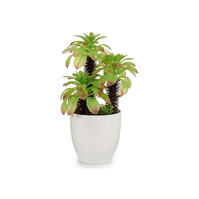 Pianta Decorativa Alb? (17 x 31 x 17 cm) Bianco