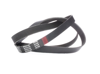 RIDEX Cinghia Poly-V 305P0319  OPEL,JEEP,VAUXHALL,Frontera A SUV (U92),Frontera A Sport SUV Cabrio (U92),CHEROKEE (XJ),Grand Cherokee I (ZJ, ZG)