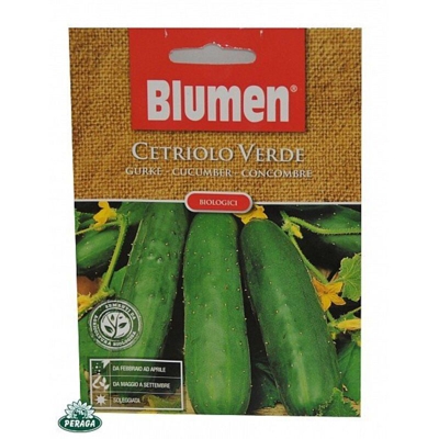 Blumen Cetriolo Verde
