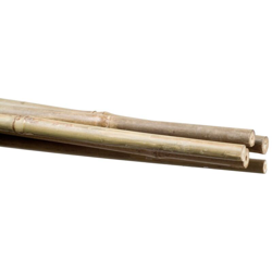 REGGIPIANTE IN BAMBÙ 120 cm características