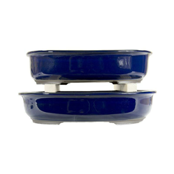 Vasi per bonsai Giapponesi Morrisan ovali in gres smaltati blu (Set da n.2 pezzi) - B22-37 características