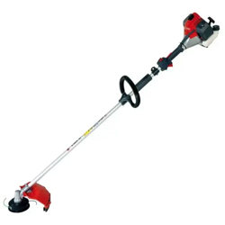 Efco Decespugliatore Ds 3000S características