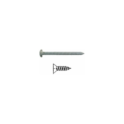 Vite Autofil.Tsp 4,8X50 Pz.200 Zb Vite Autofil.Tsp 2,9X6,5 Pz.1000 Zb | Sc