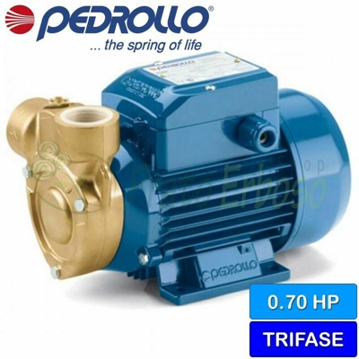Pedrollo - PQ 81-Bs - Elettropompa con girante periferica trifase