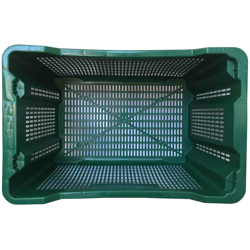 Cassa in plastica per olive verde 40 l Confez. da 10 pz. Mis esterna cm (LxPxH) 55x36x31 Capacità Lt 40 Colore Verde Versione Base e Pareti forate características