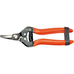 Forbice Agrumi Curva características