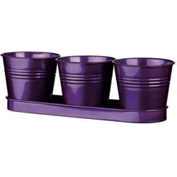 Vasi In Metallo Mod.Trio Colore Viola 11xh10,5 Cm Conf. 6pz -5330103kf* características