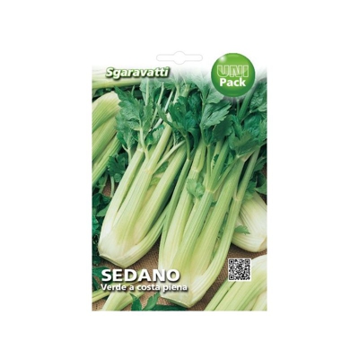 Busta Semi Orto Sedano Verde a Costa Piena - Sgaravatti