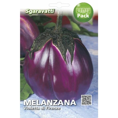Busta Semi Orto Melanzana Violetta Firenze - Sgaravatti