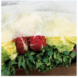 Velo protezione in TNT 17 precio